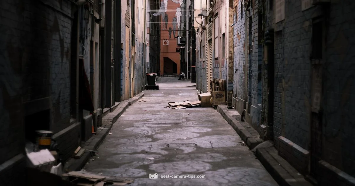 Compact Zoom Review Compact Zoom Review - Best Camera Tips