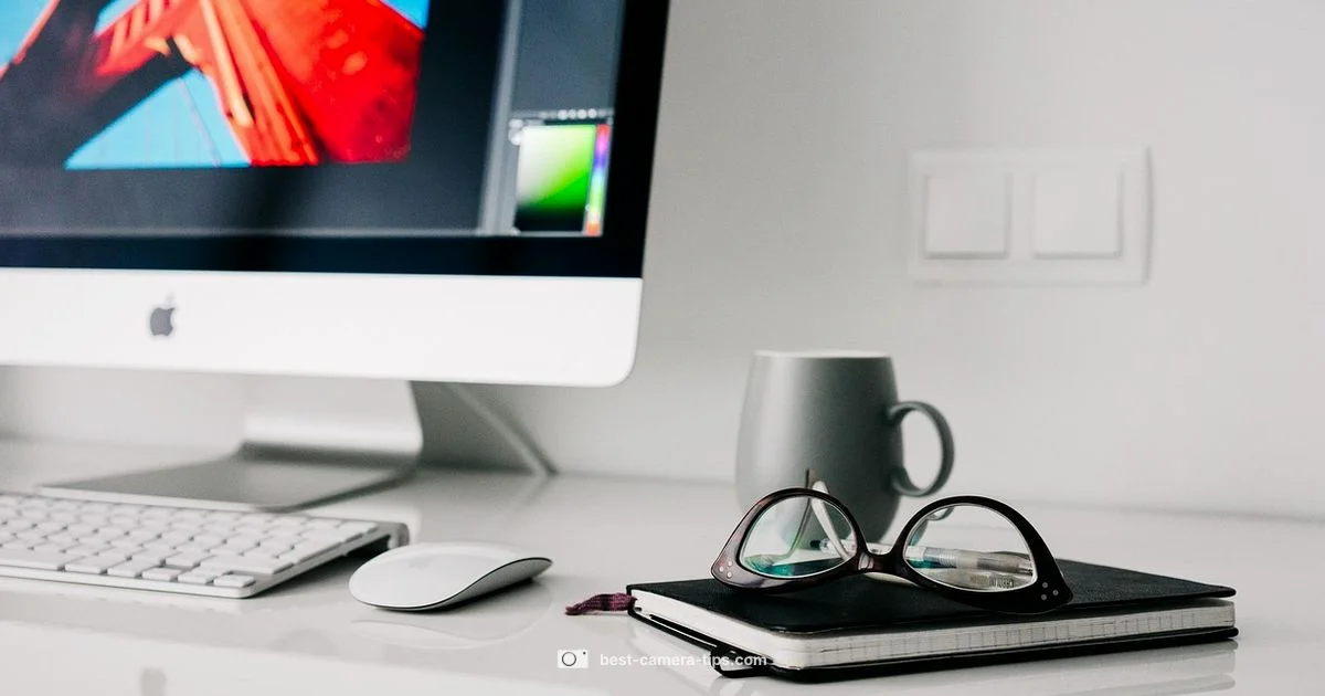 Zoom Camera Fix - Best Camera Tips