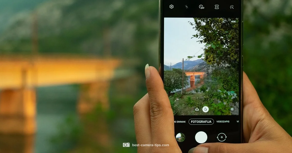 Find Camera Layout - Best Camera Tips