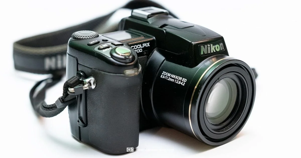 Digital Camera Guide - Best Camera Tips