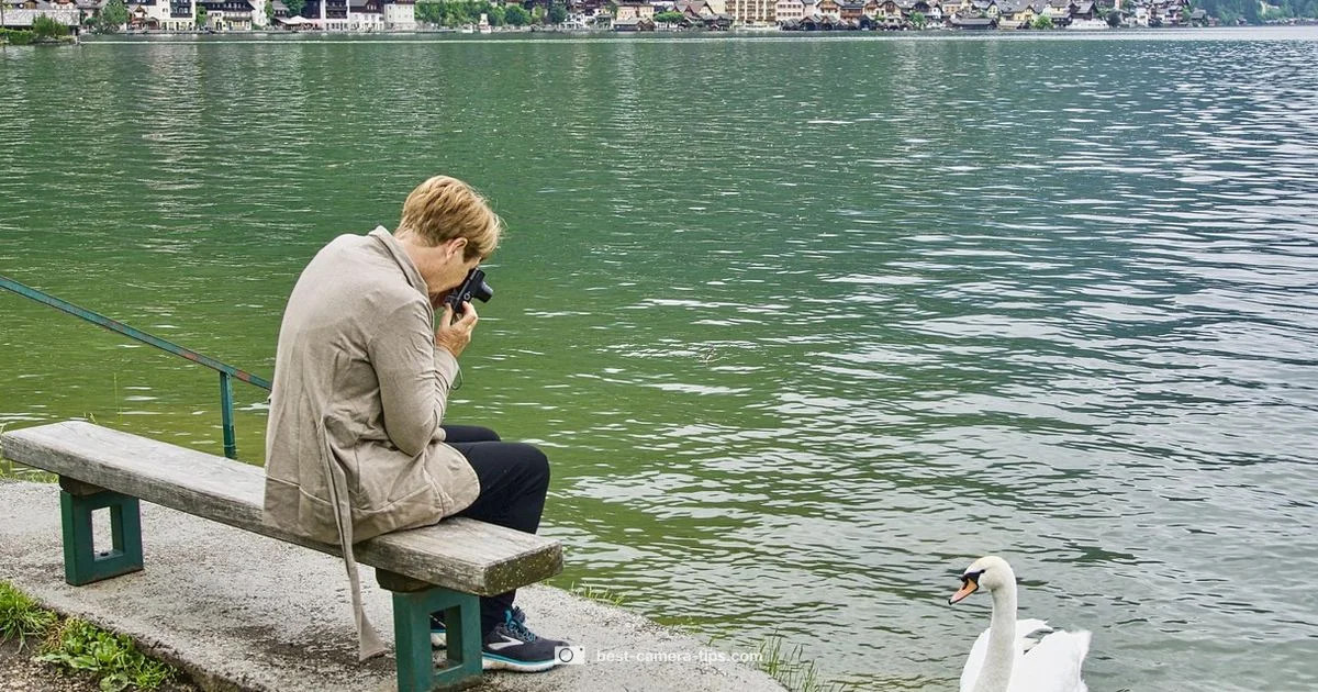 Camera Chat Guide - Best Camera Tips