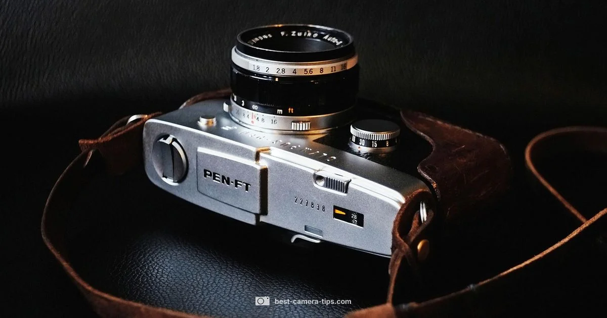 Camera vs Camcorder - Best Camera Tips