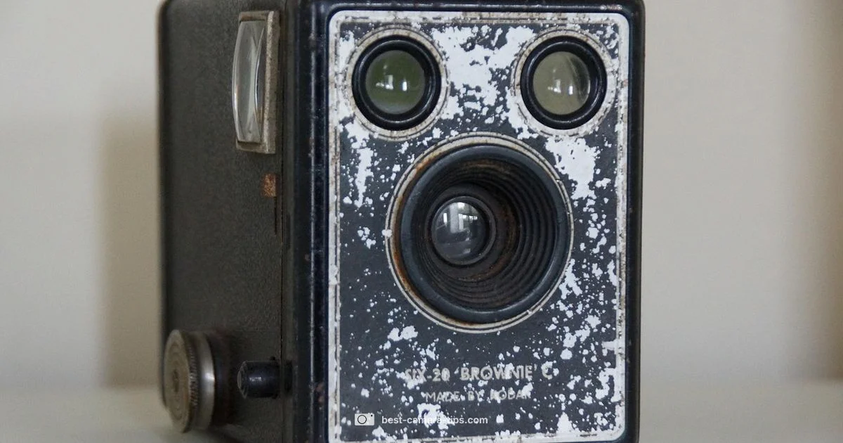 SD Card Included? SD Card Included? - Best Camera Tips