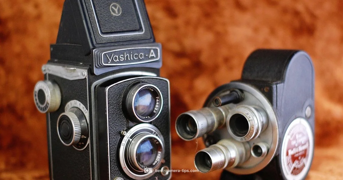 Budget Camera Guide - Best Camera Tips