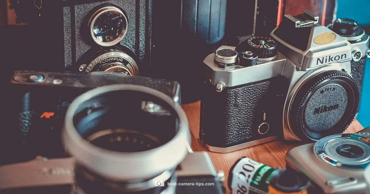 Camera Worth Today - Best Camera Tips