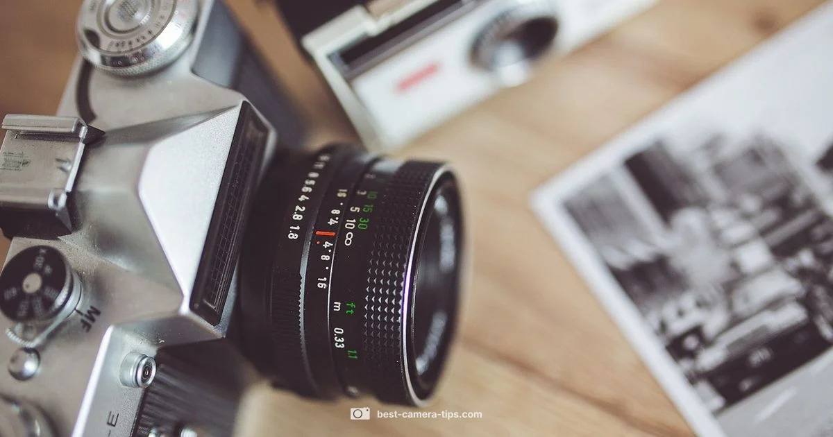 Camera Apps in Focus - Best Camera Tips