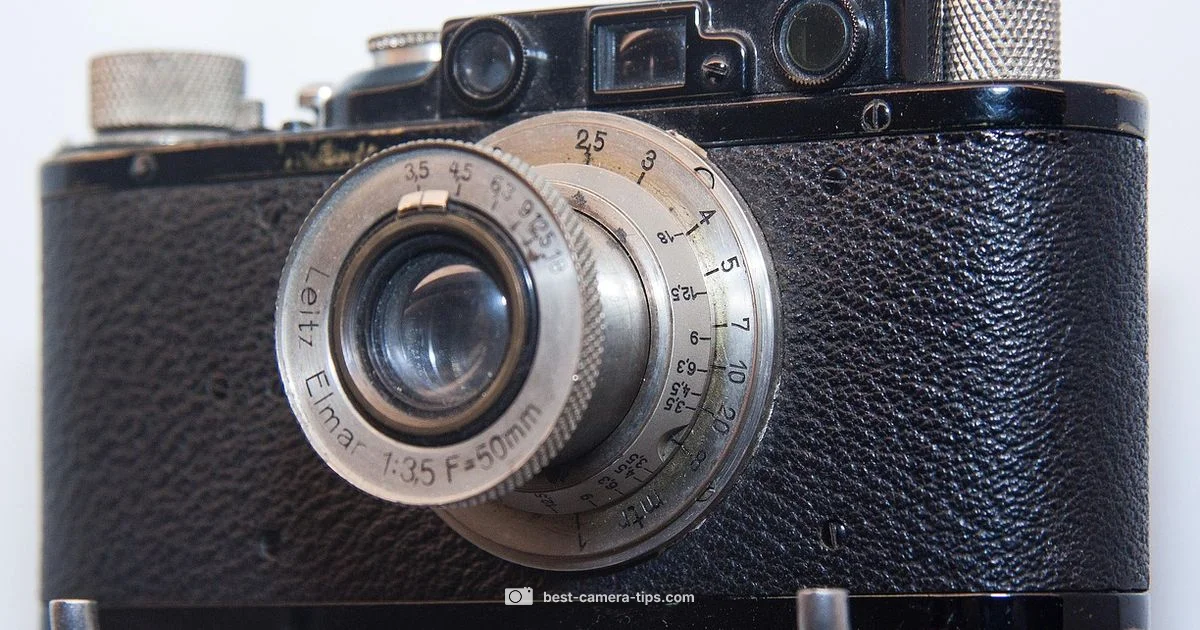 Top Compact Choice - Best Camera Tips