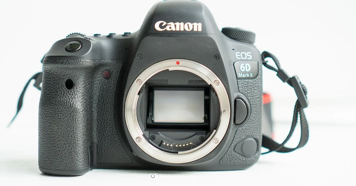 R6 II Guide - Best Camera Tips