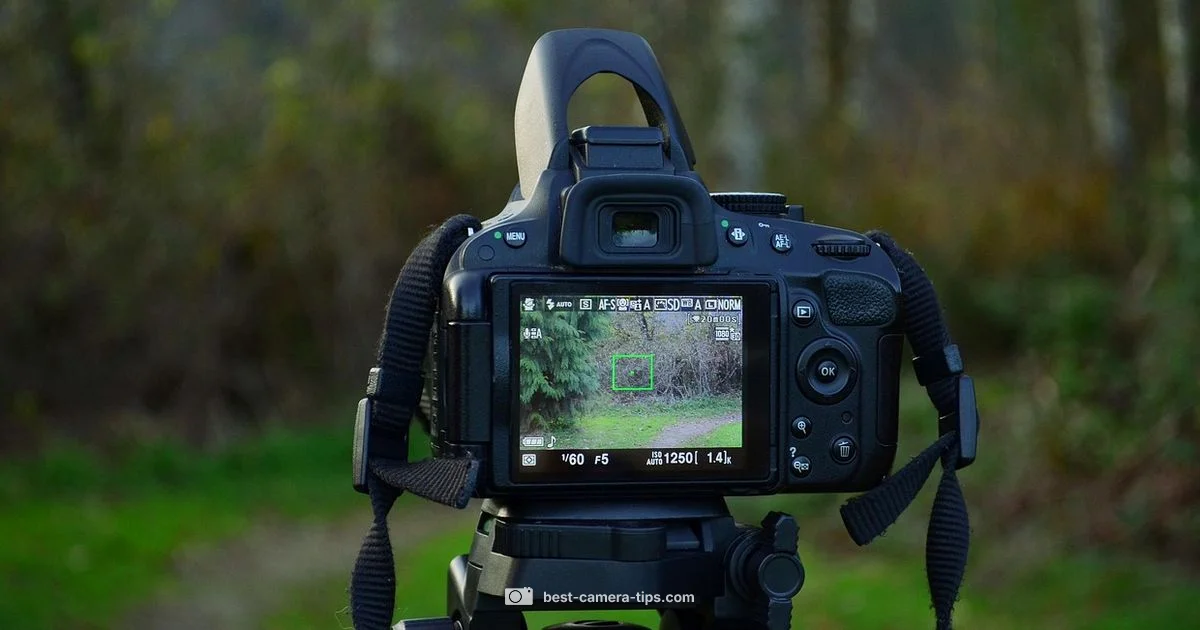 PS5 Camera Guide - Best Camera Tips