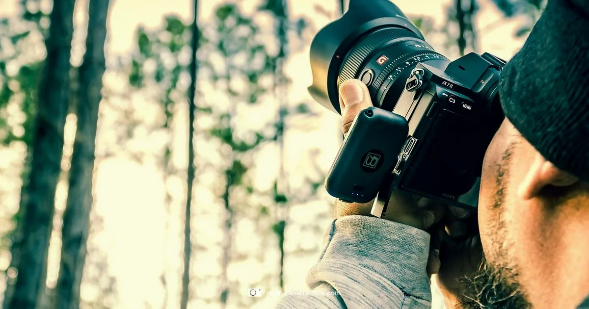 Aperture Demystified for Photographers - Best Camera Tips