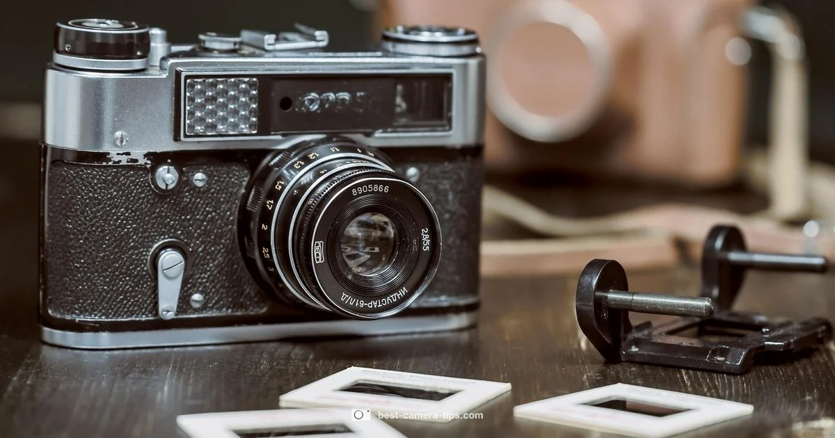 Camera Basics Guide - Best Camera Tips