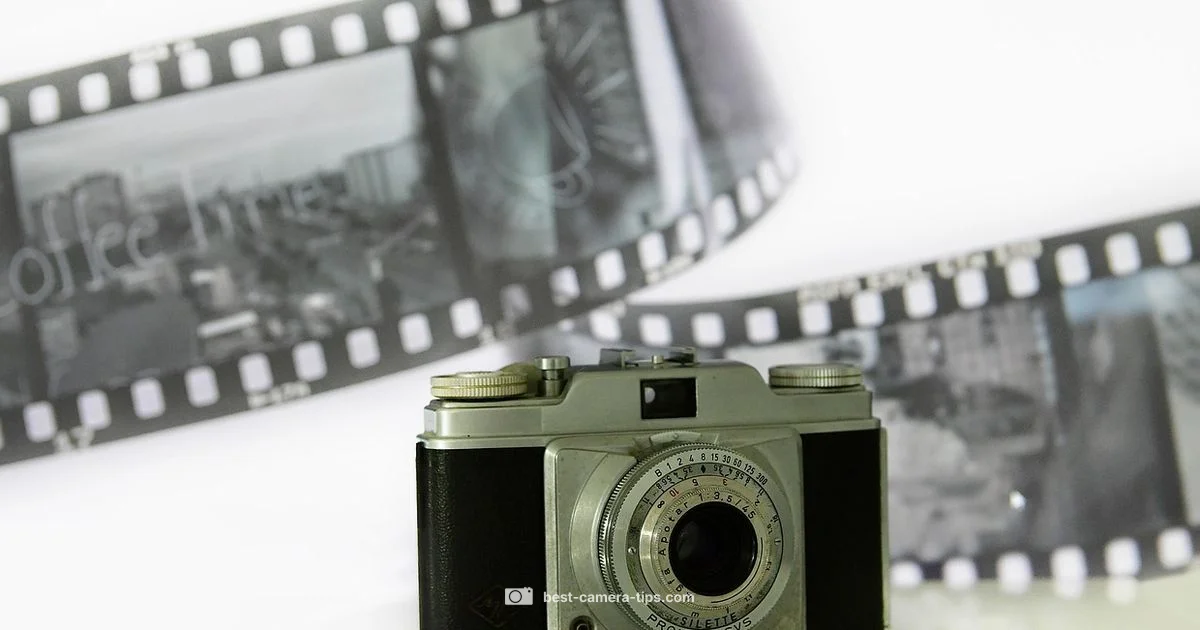 Camera Protector Guide - Best Camera Tips