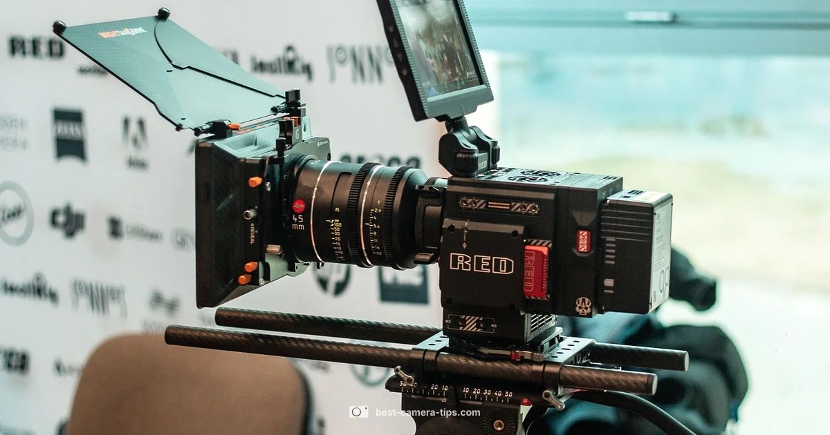 Camera Red Light Guide - Best Camera Tips