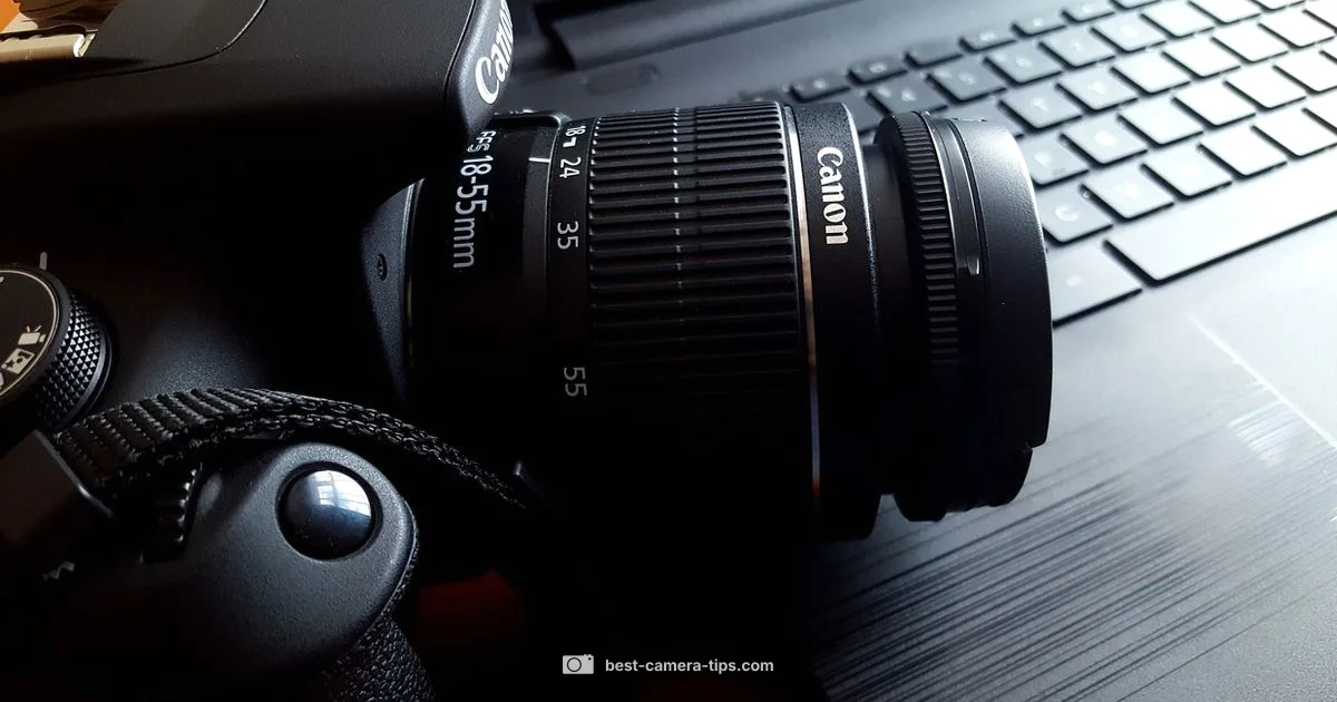 Buy Timing Guide - Best Camera Tips