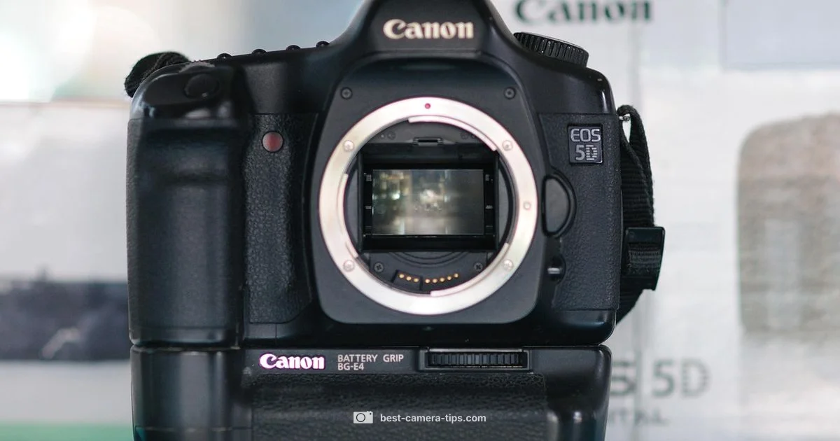 Future of Cameras - Best Camera Tips