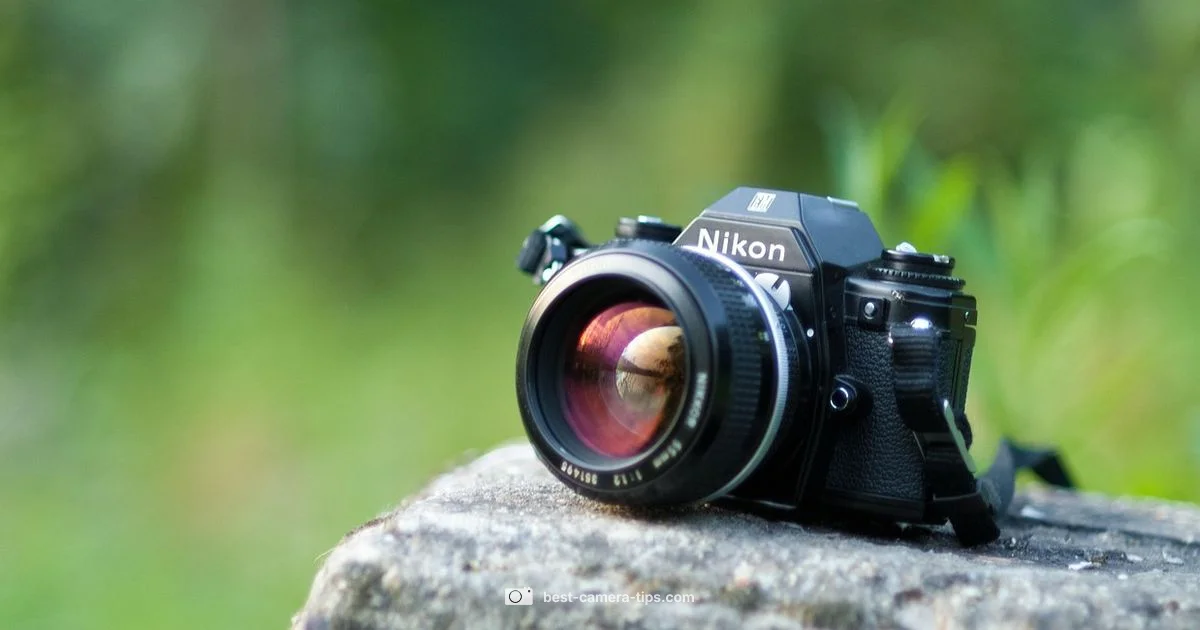 Vintage Film Camera - Best Camera Tips