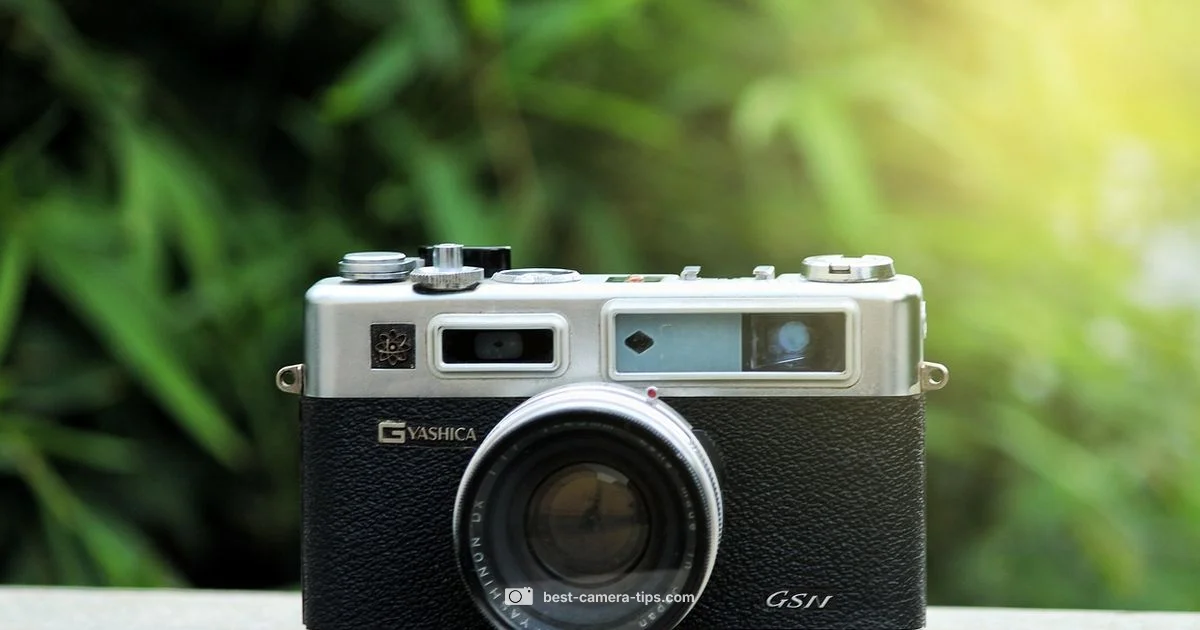 Digital Camera Prices - Best Camera Tips