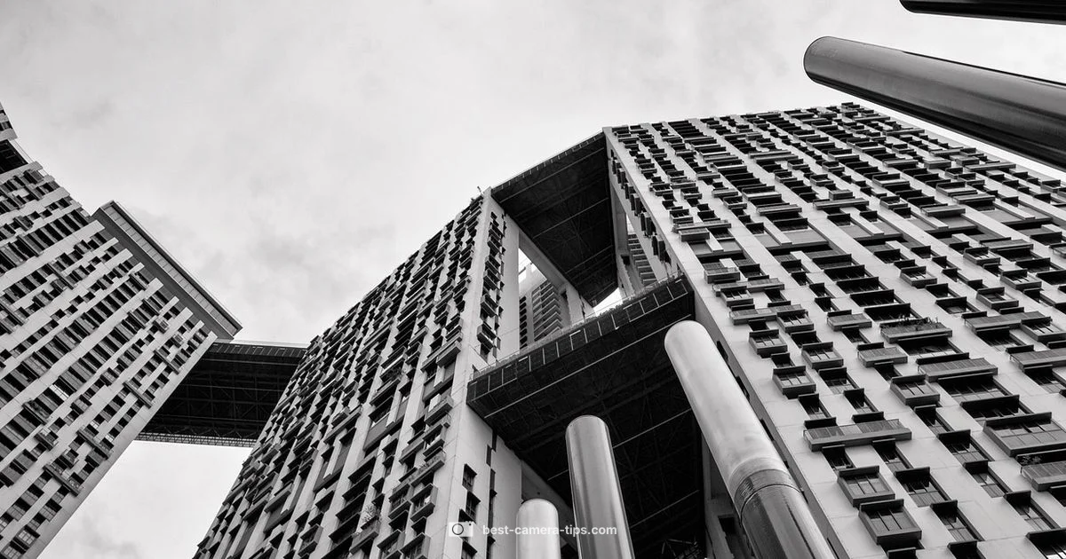 Face Proportion in Photos - Best Camera Tips