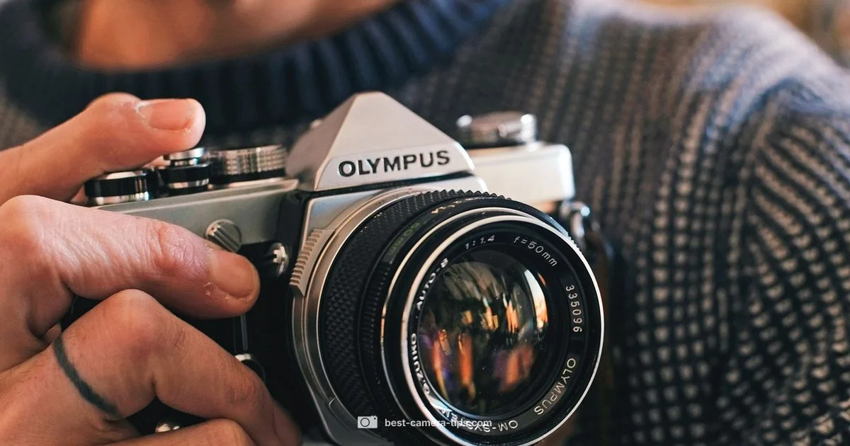 Shutter Count Guide - Best Camera Tips