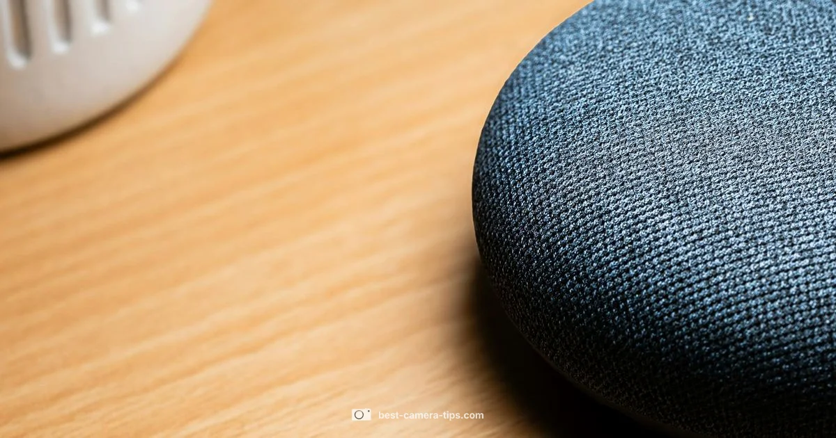 Nest Outdoor Setup - Best Camera Tips