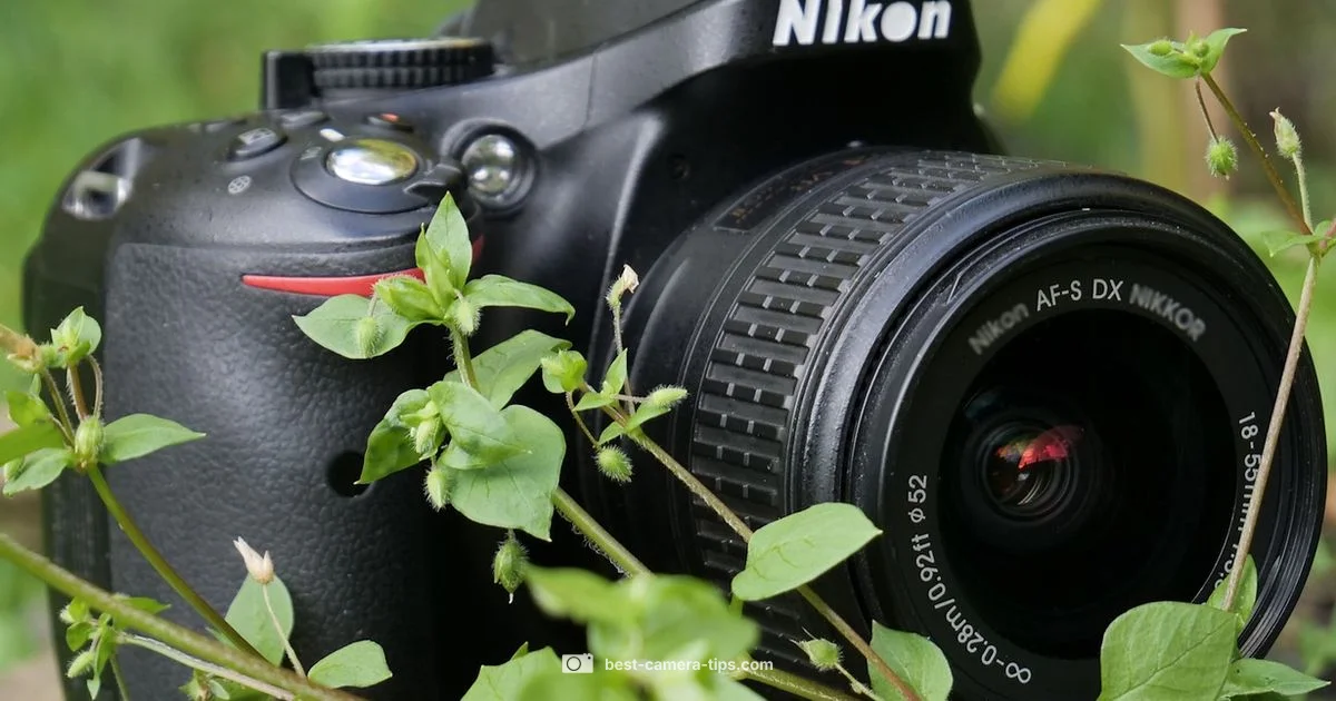 F-mount Essentials - Best Camera Tips