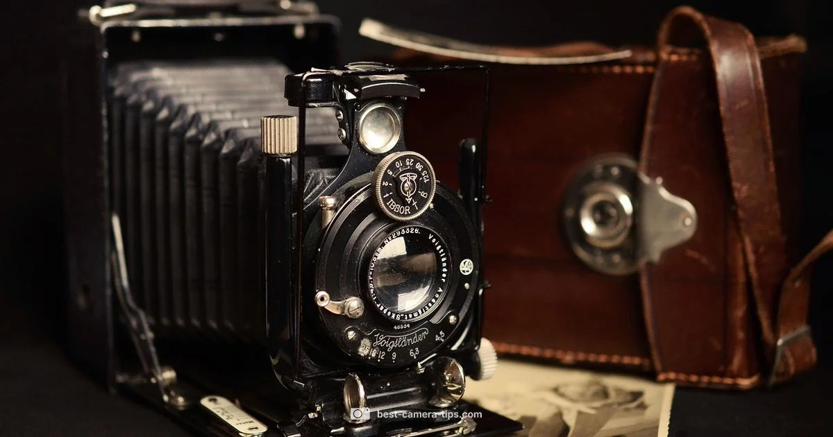 Timeline of Cameras Timeline of Cameras - Best Camera Tips