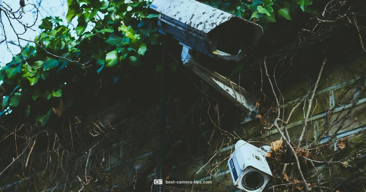 IP PoE Guide - Best Camera Tips