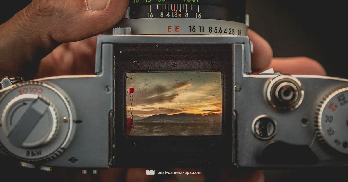 Camera Button Guide - Best Camera Tips