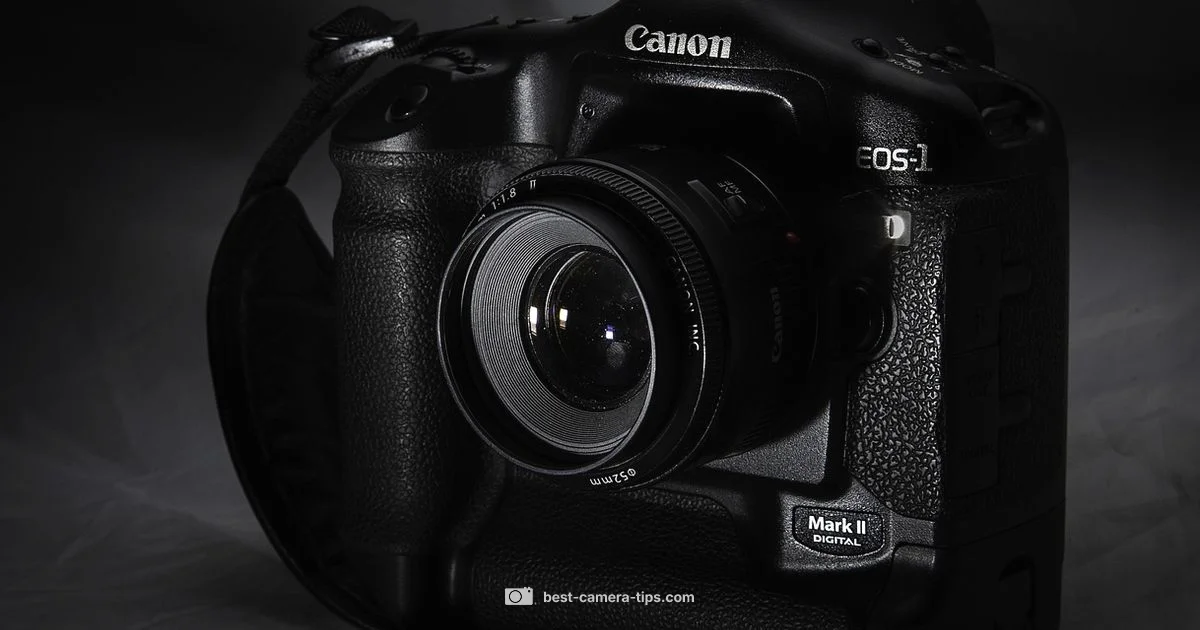 Photo Size Guide - Best Camera Tips