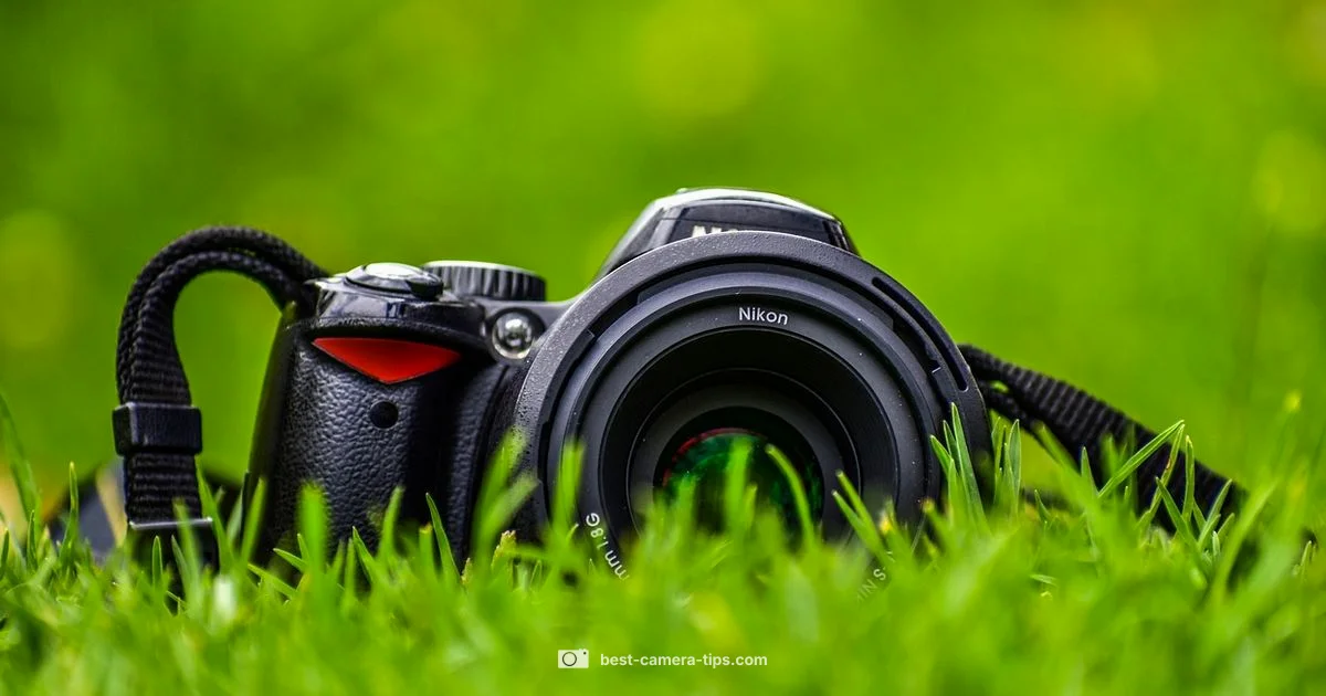 Easy-to-Use Cameras - Best Camera Tips