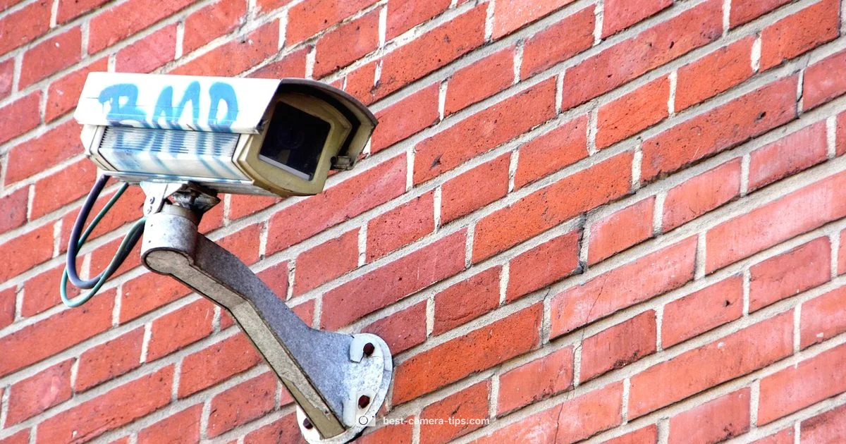 Camera Check - Best Camera Tips