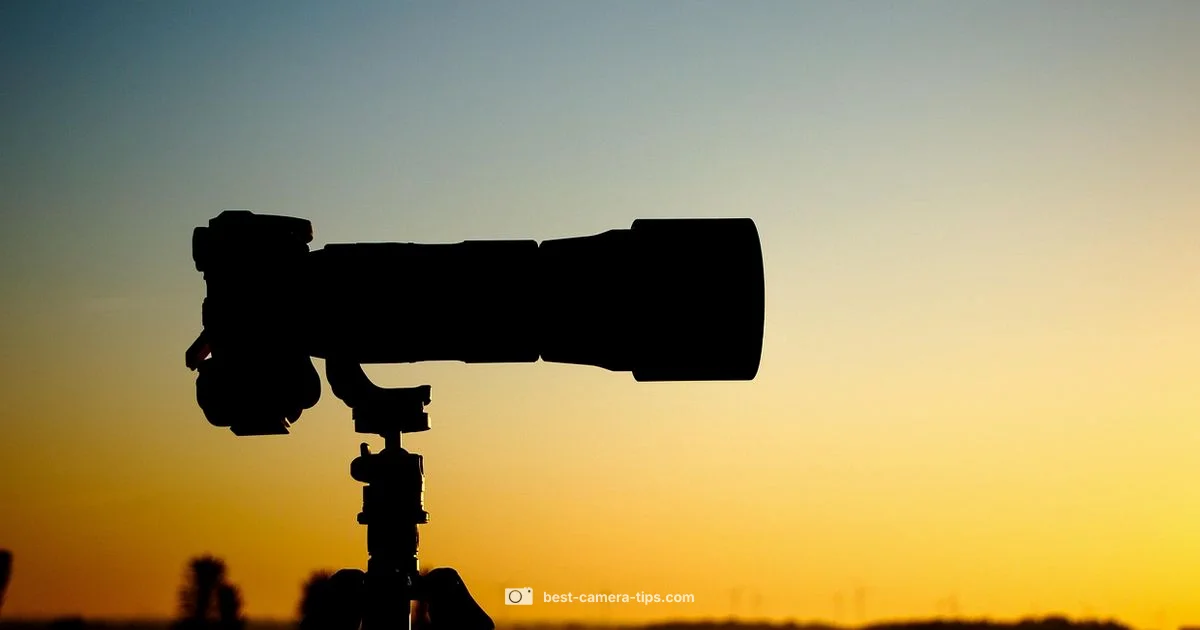 Heavenly Live Cam - Best Camera Tips