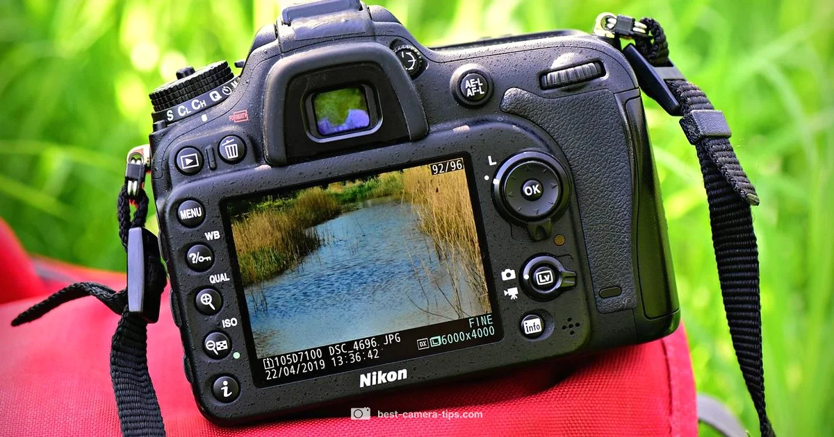 Vlog Gear Guide - Best Camera Tips