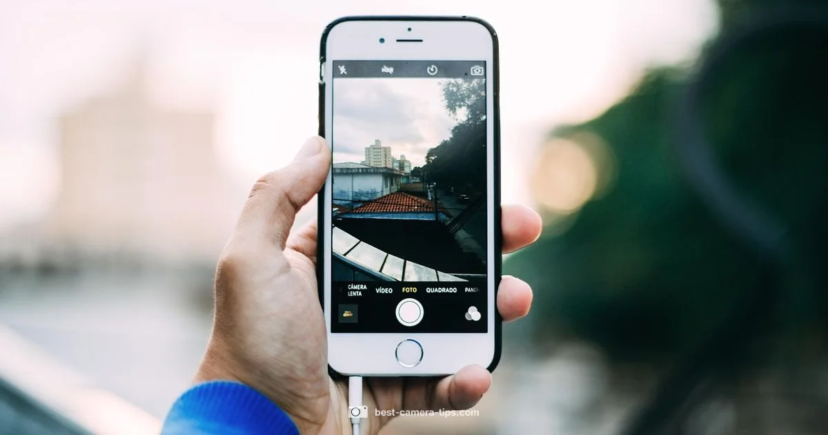 Ring Setup Tips - Best Camera Tips