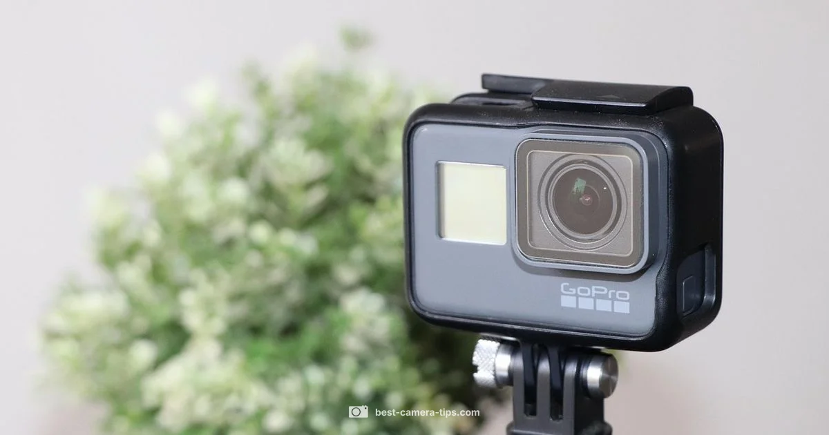 In-Camera Charging - Best Camera Tips