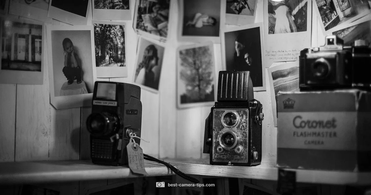 Battery Change Guide - Best Camera Tips