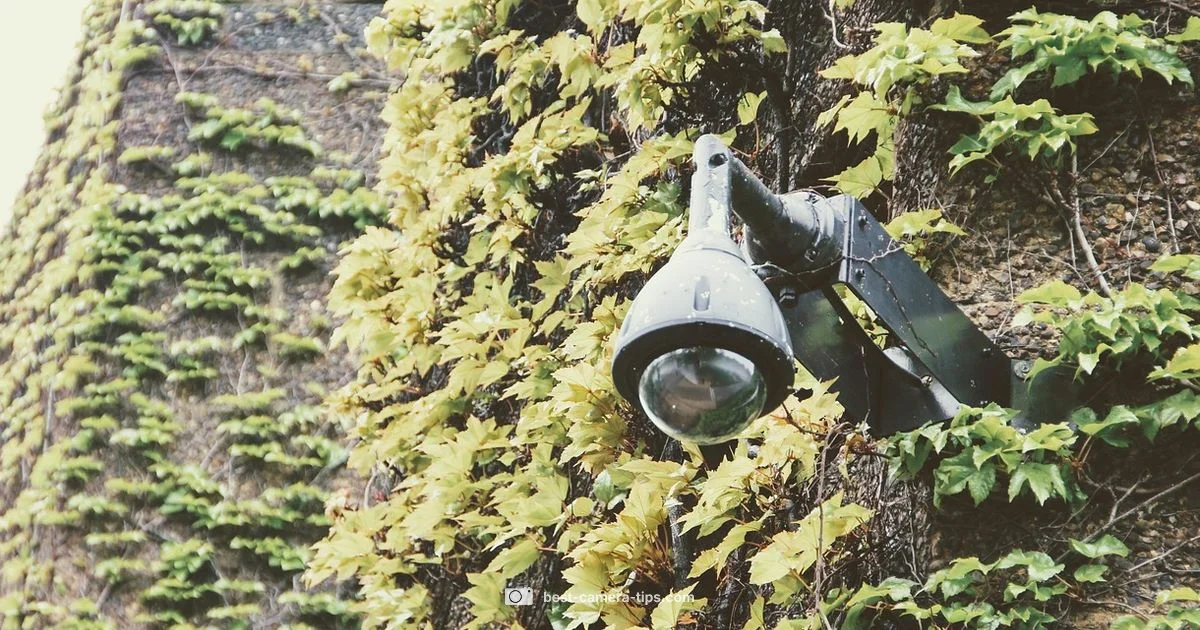 Workplace Audio Cameras - Best Camera Tips