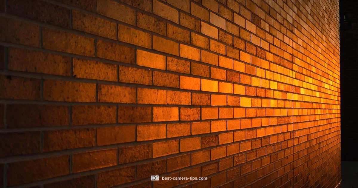 Top Security Camera - Best Camera Tips