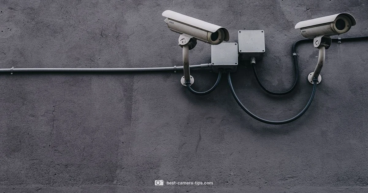 Access Your Cameras - Best Camera Tips