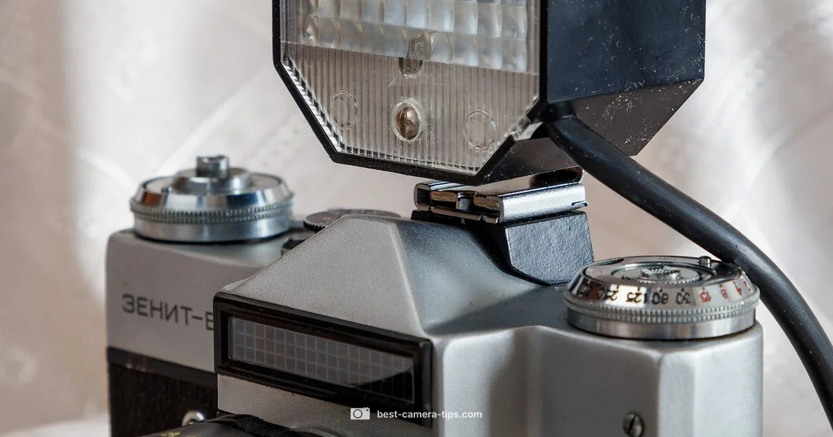 Camera Identity Check - Best Camera Tips