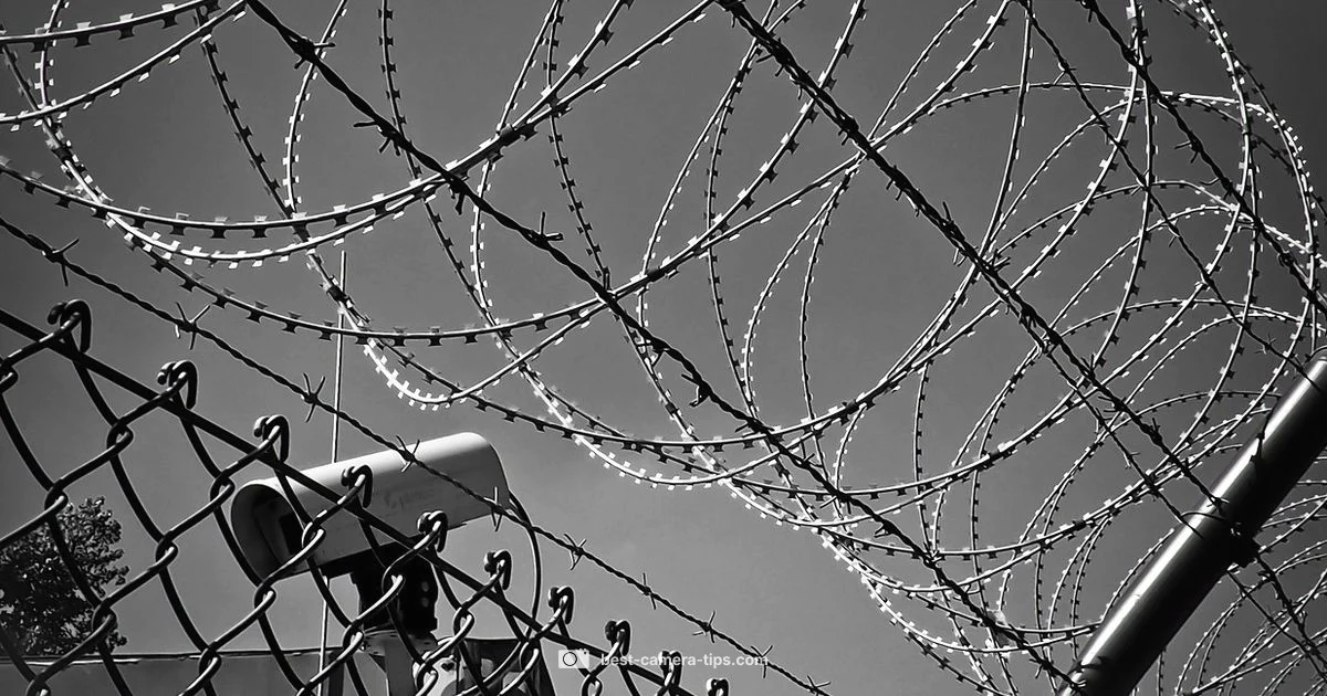 Workplace Surveillance - Best Camera Tips