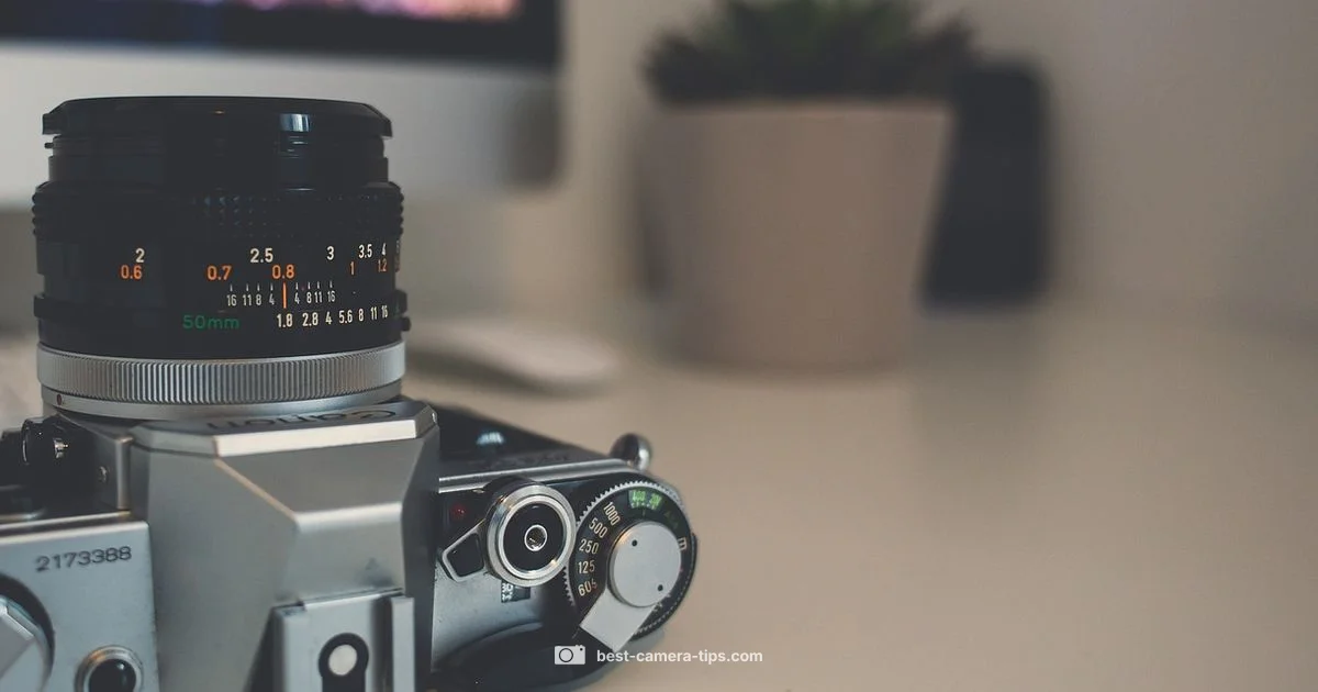 Develop Disposable Film - Best Camera Tips