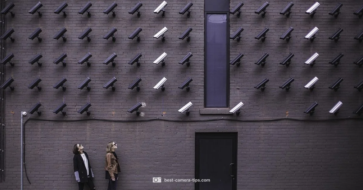 SD Card Storage Guide - Best Camera Tips