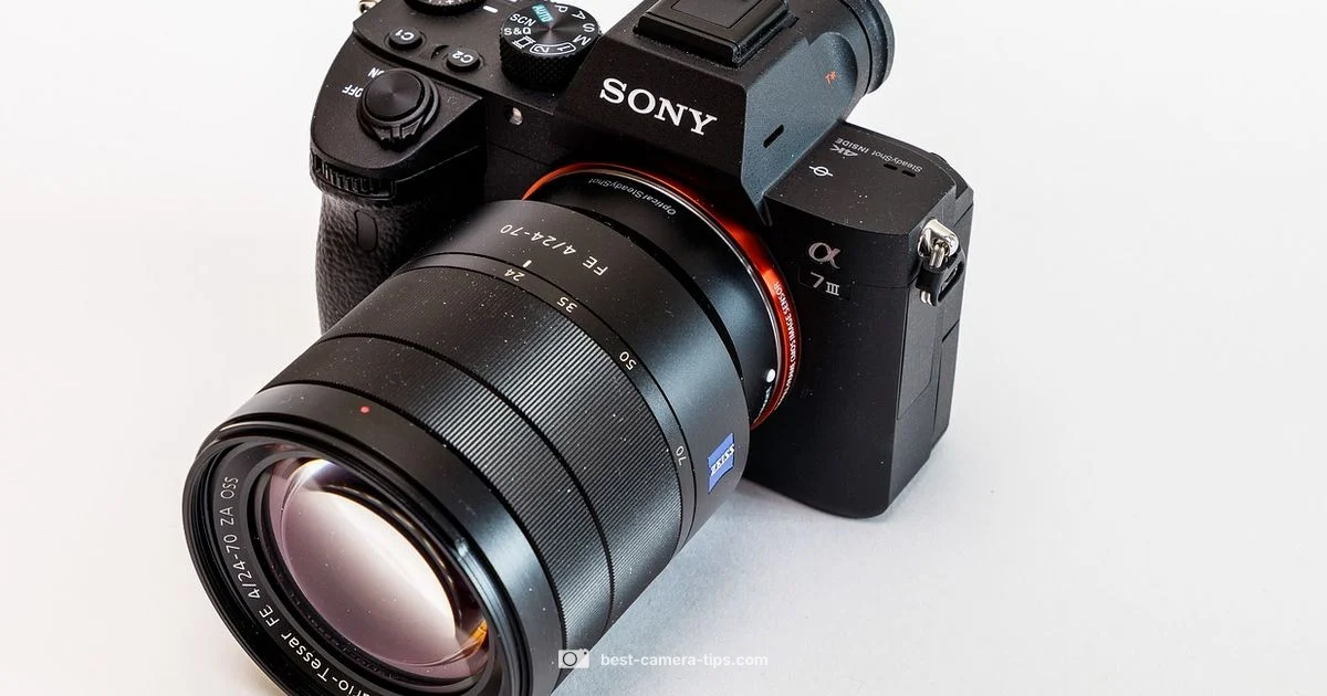 Sony Mirrorless Advantage - Best Camera Tips