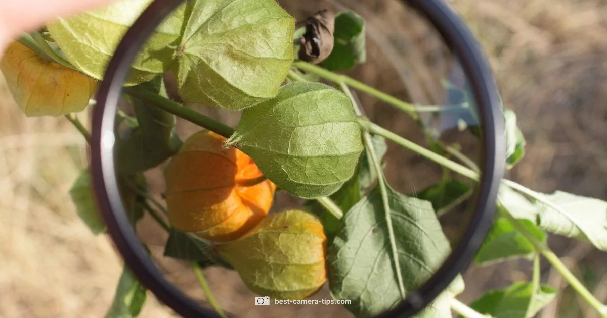 Filter Basics for Lenses - Best Camera Tips