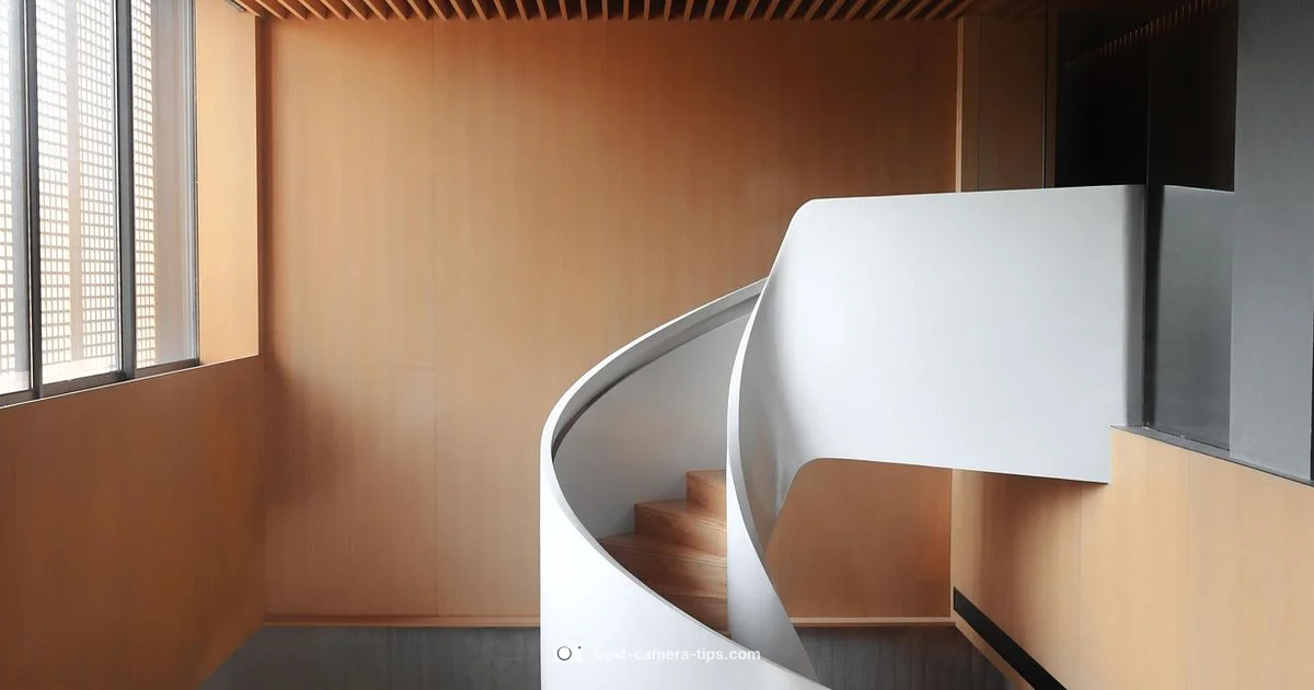 Blink WiFi Guide - Best Camera Tips