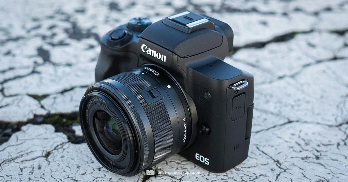 Mirrorless Overview - Best Camera Tips