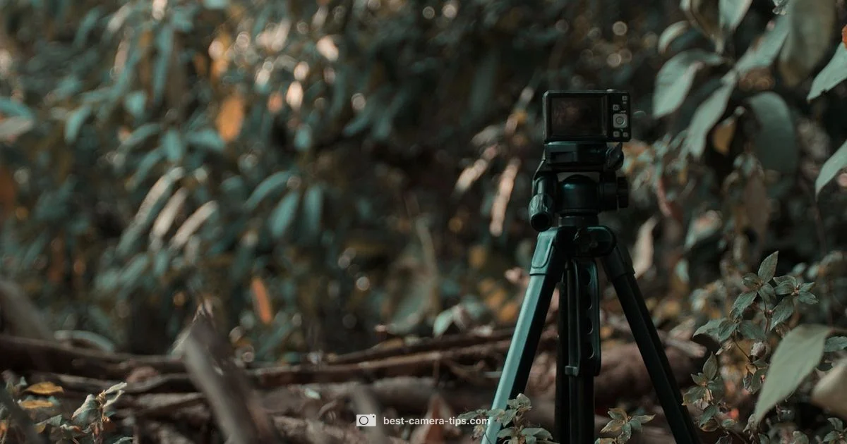 Compact Vlogging Pro - Best Camera Tips