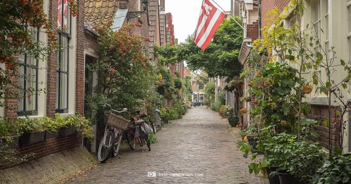 Angles in Focus Angles in Focus - Best Camera Tips