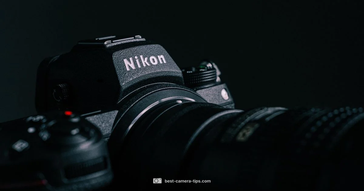 D7500 Replacement Guide - Best Camera Tips